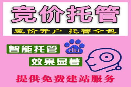 百度推广代理的运营模式与成功案例分析